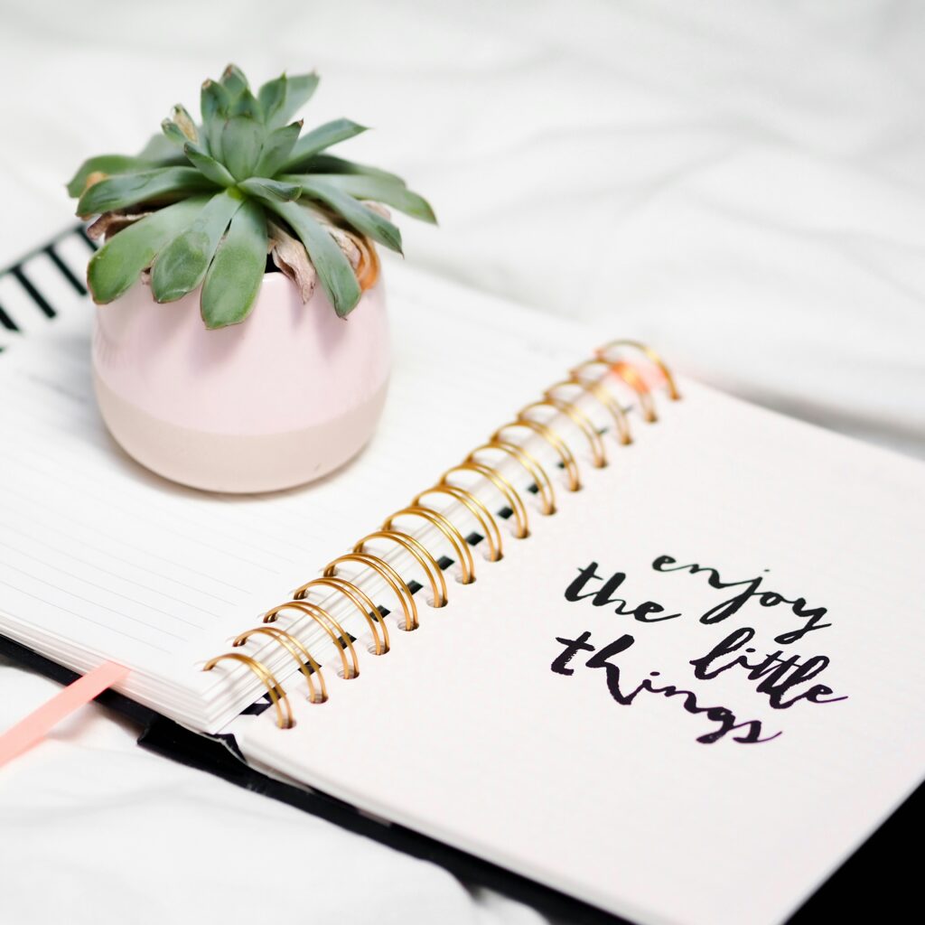 Inicio laura chouette 1yxbmnp4rpe unsplash
